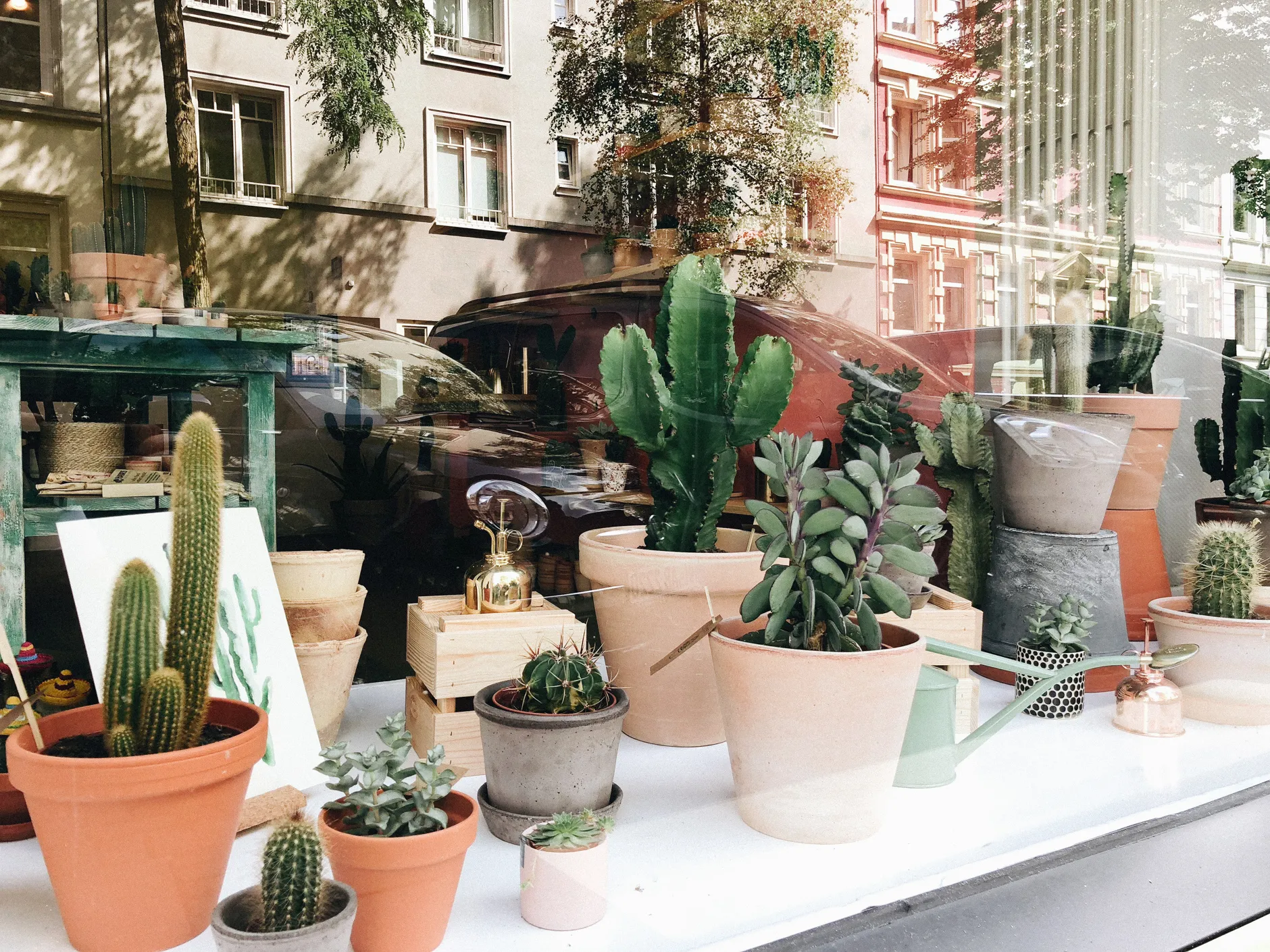 monstera nur in wasser INTENZ® | Stecklinge im Wasser | Monstera | Fensterblatt | Klein
