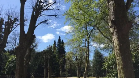 Wohlerspark (c) Lisa Meinen