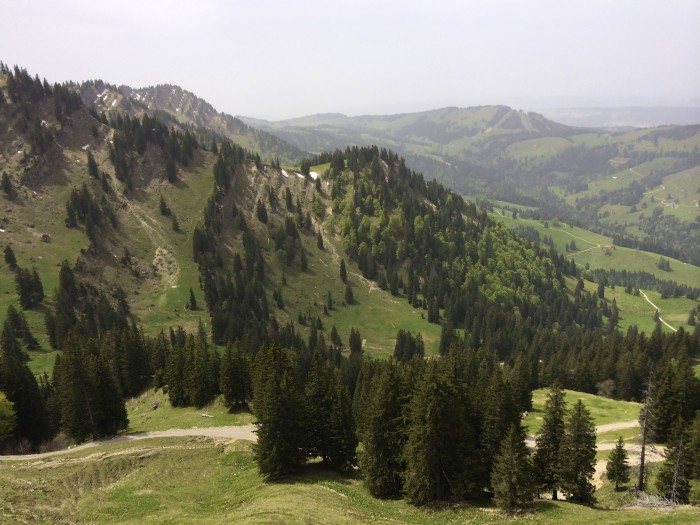 _Bild 3
