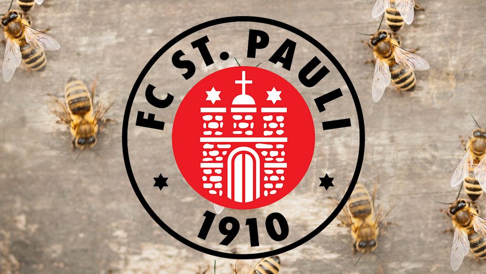 Bienen St. Pauli