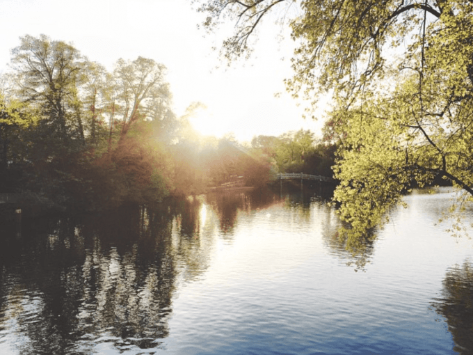 Hamburg-Eppendorf-Sonne-Haynspark