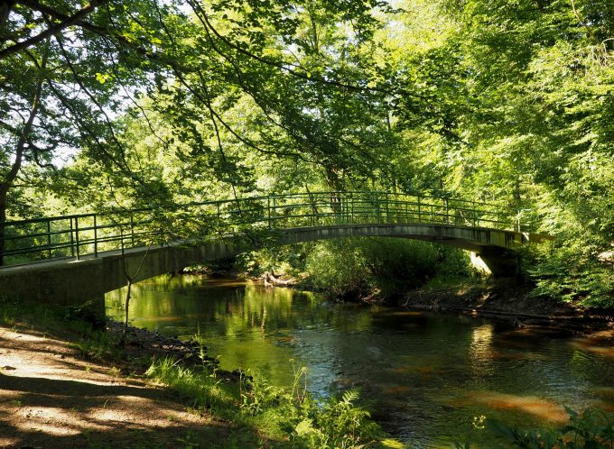 Heimaturlaub: Immer am Fluss entlang - Wanderung im Alstertal | Mit ...