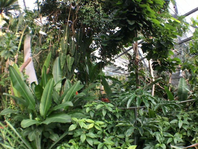 11 Orte, an denen Hamburg wie bei Harry Potter aussieht | Mit Vergnügen