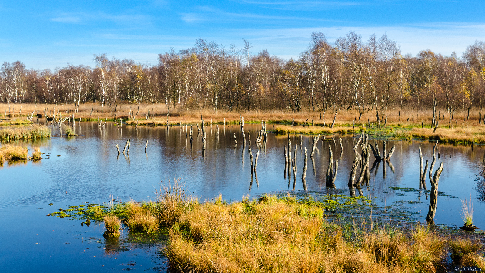 Wandern durch das Hochmoor Wittmoor | Mit Vergnügen Hamburg