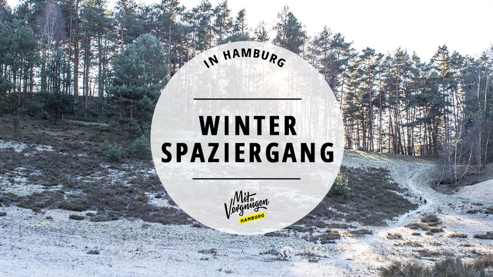 11 Winterspaziergange Die Euch Die Kalte Jahreszeit Versussen Mit Vergnugen Hamburg