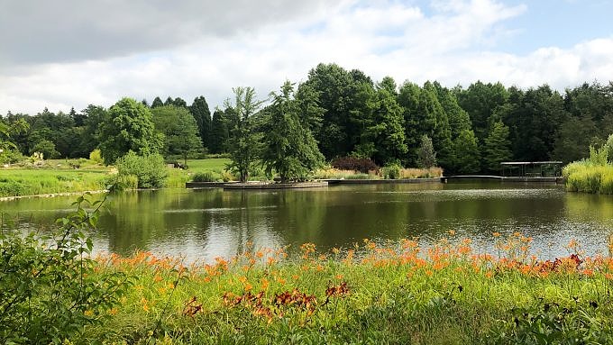 Blick über Lilienfeld auf den See im Loki-Schmidt-Garten