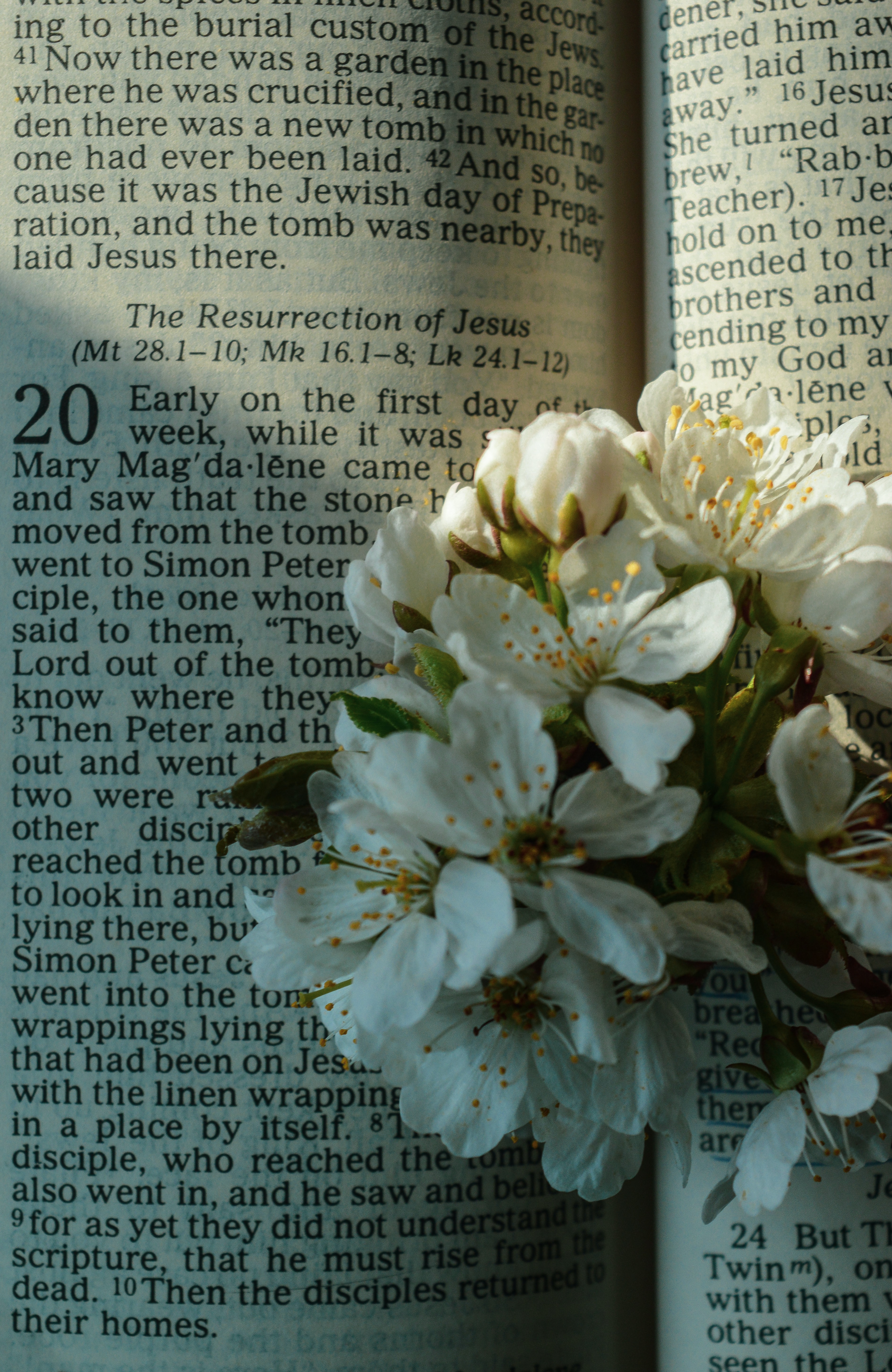 #Ostern feiern als Gläubige: Kommt jetzt der Osterhase oder doch Jesus?