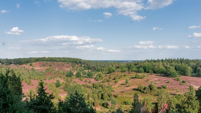 Ausblick vom Totengrund in der Lüneburger Heide.
