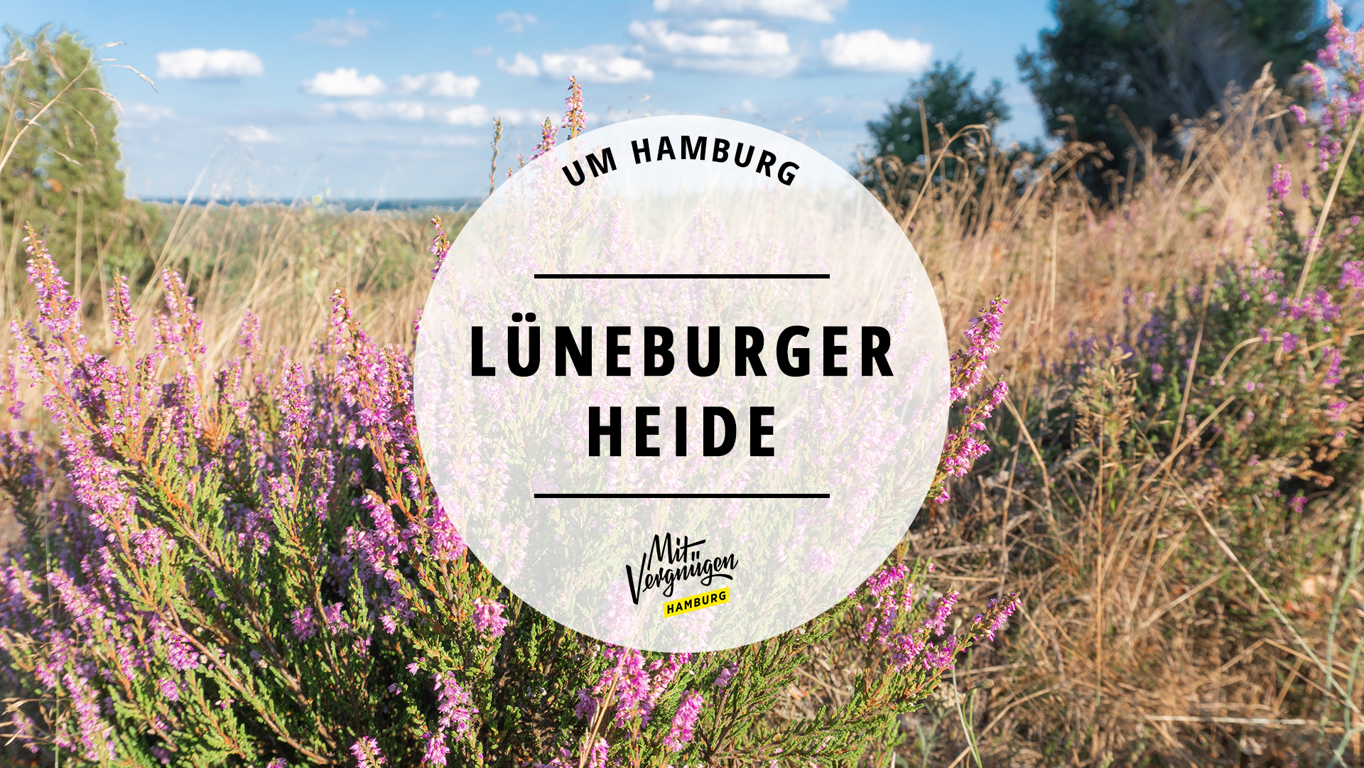 #11 Dinge, die ihr immer in der Lüneburger Heide machen könnt
