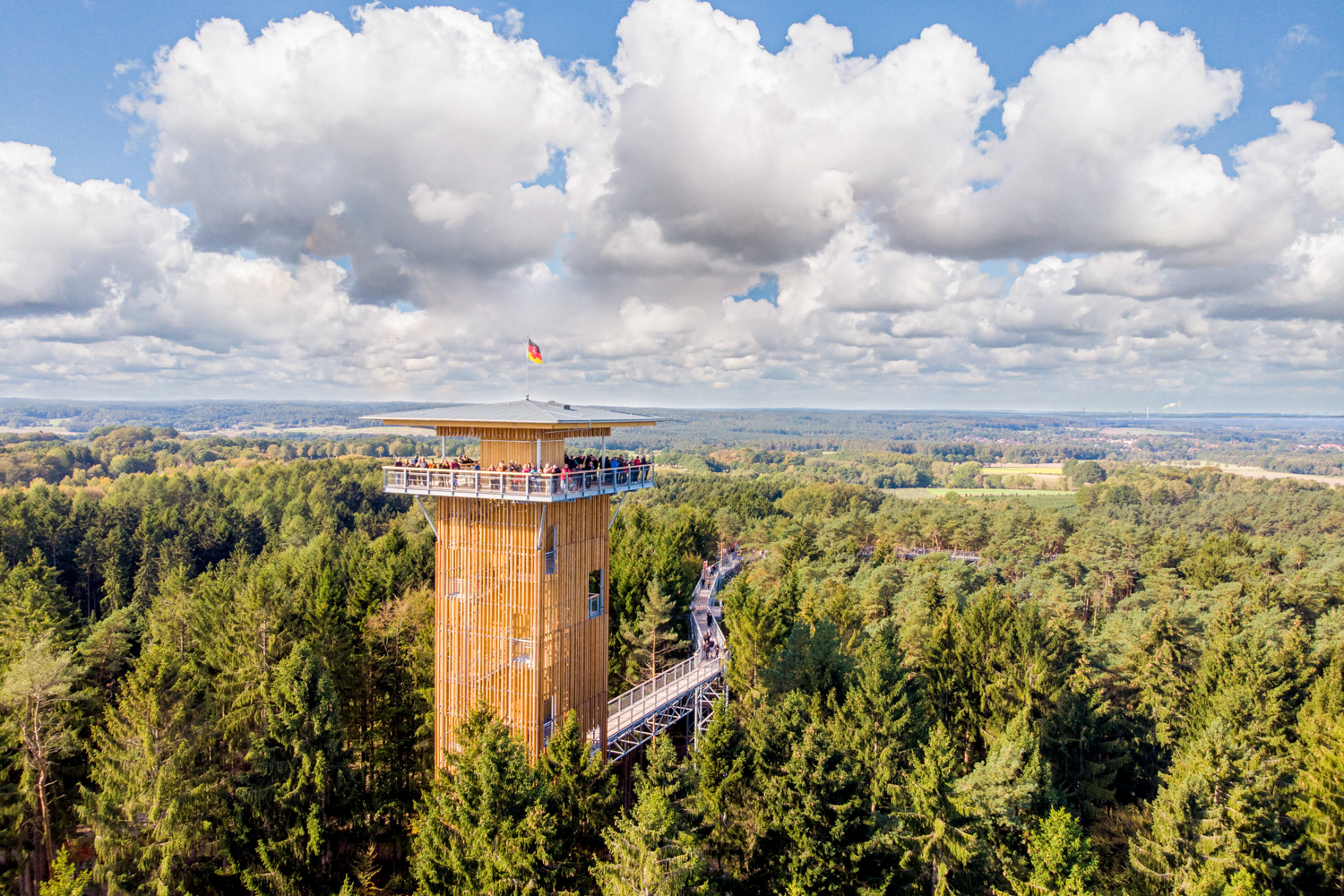 Die Lüneburger Heide auf dem Baumwipfelpad von oben bewundern Mit