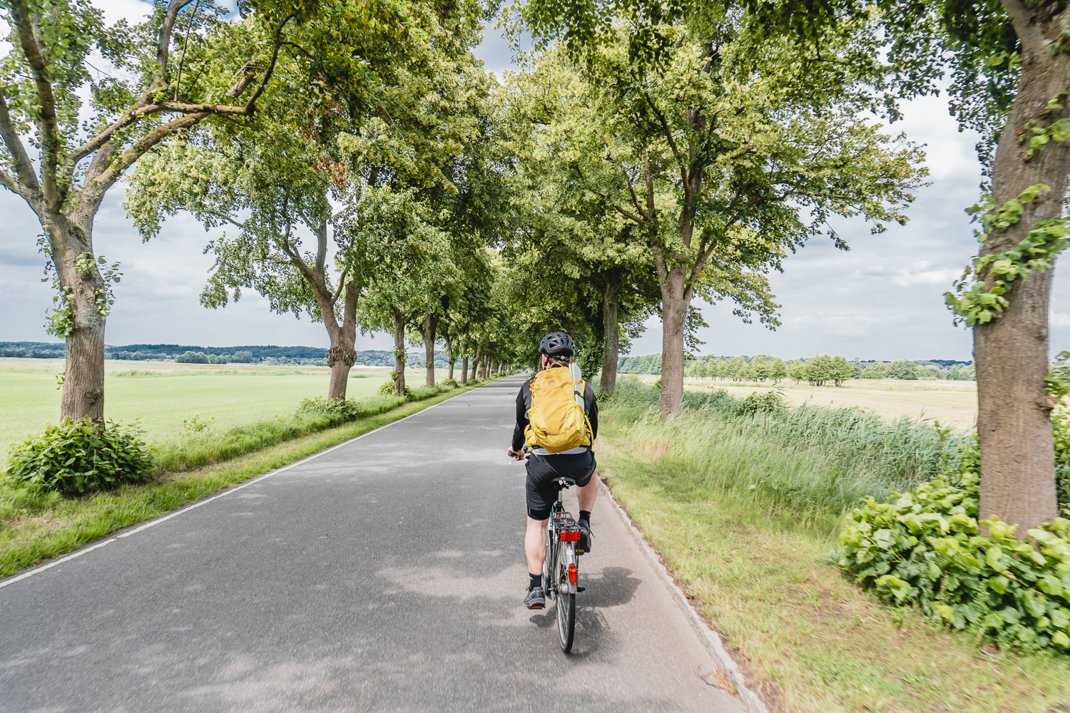 #Eine vergnügte Fahrradtour an der Elbe bis zum Börnsener Erdbeerfeld