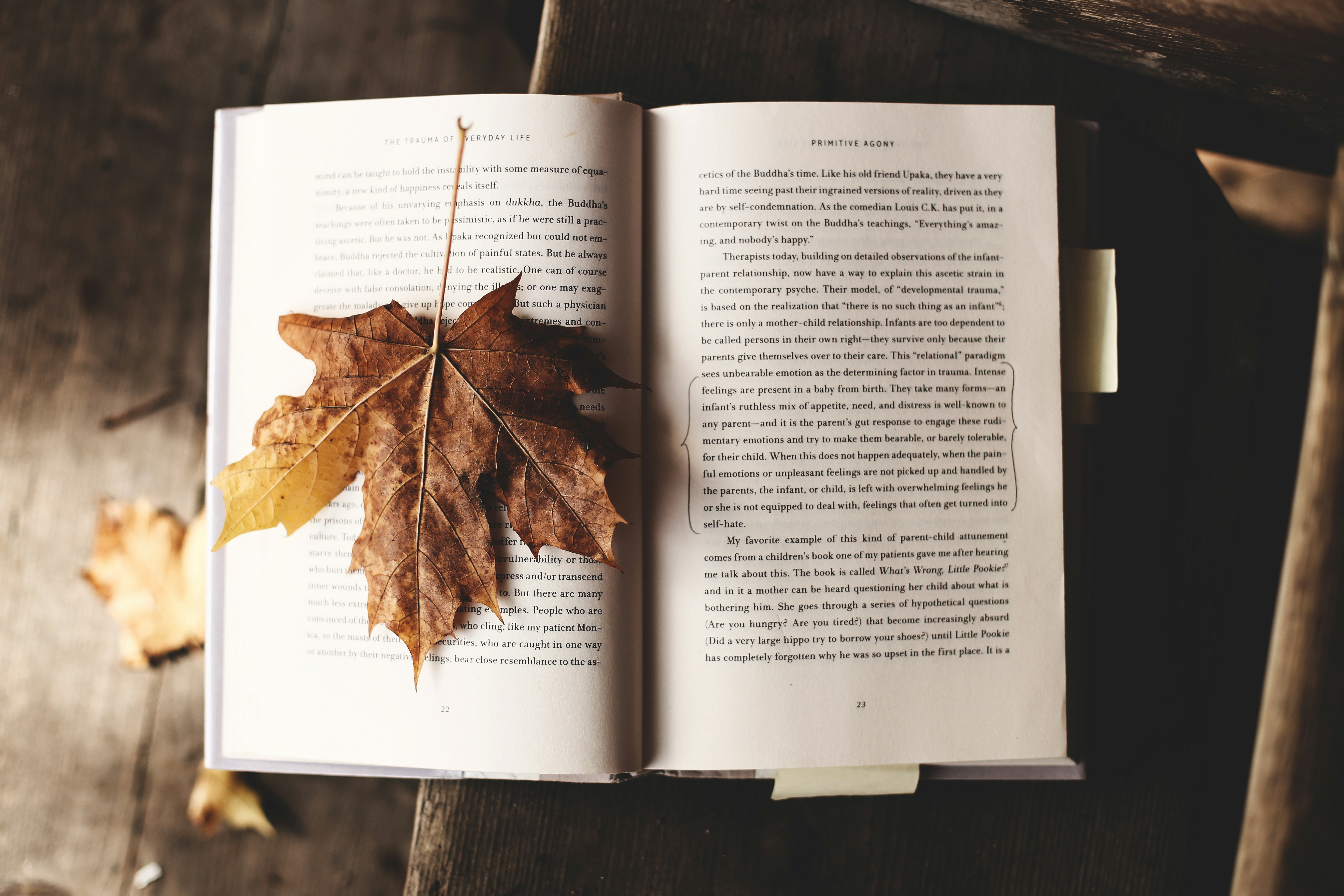 #11 hervorragende Bücher für Herbst-Leseratten